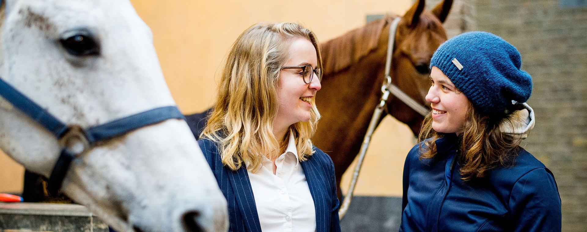 Twee studenten Equine Sports and Business bespreken resultaten onderzoek naast wit paard