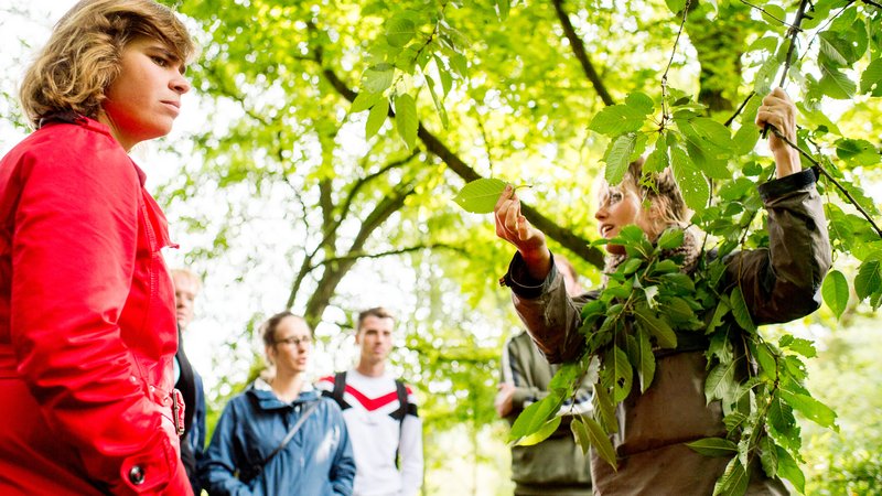 Studenten Tuin- en Landschapsinrichting tijdens buitenles op landgoed Larenstein