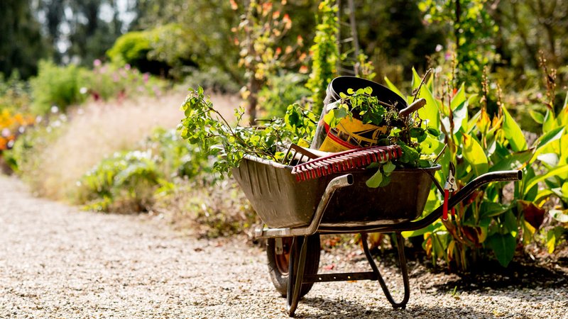 Kruiwagen op landgoed Hogeschool Van Hall Larenstein
