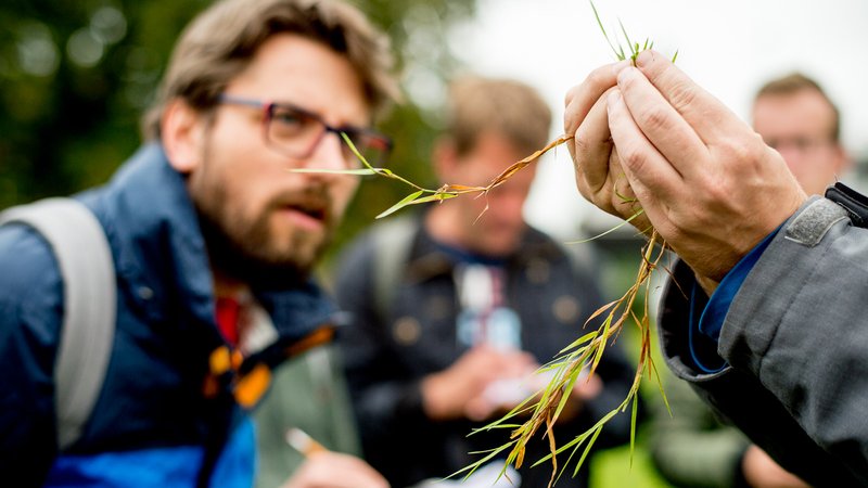 Studenten bos- en natuurbeheer tijdens buitenles