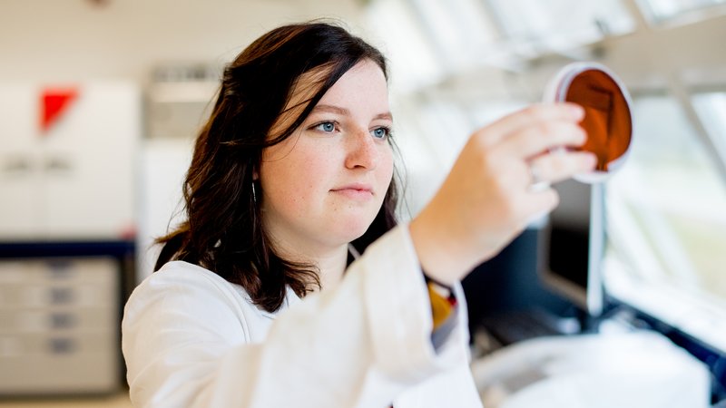 VMT basis kwaliteitssystemen