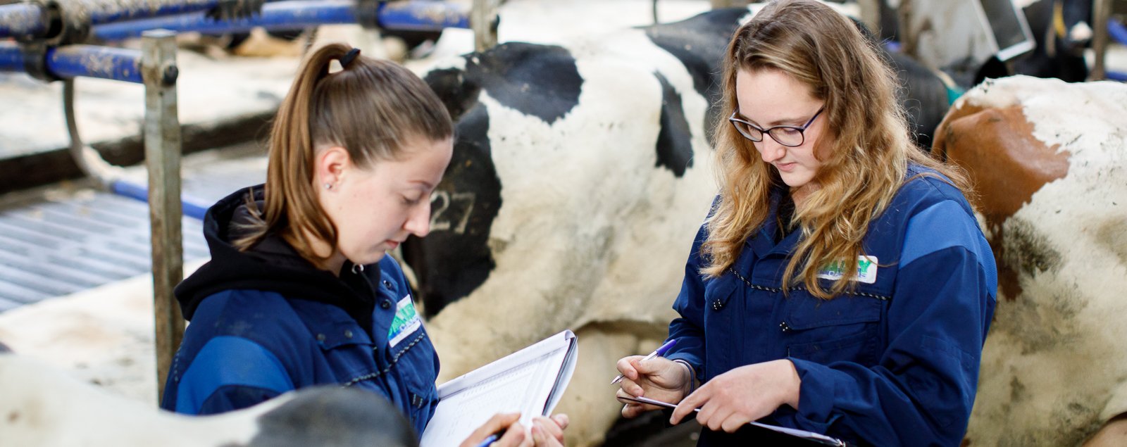 Studenten ASB in koeienstal