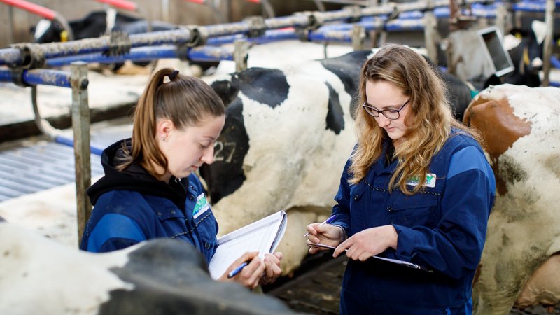 Studenten ASB in koeienstal
