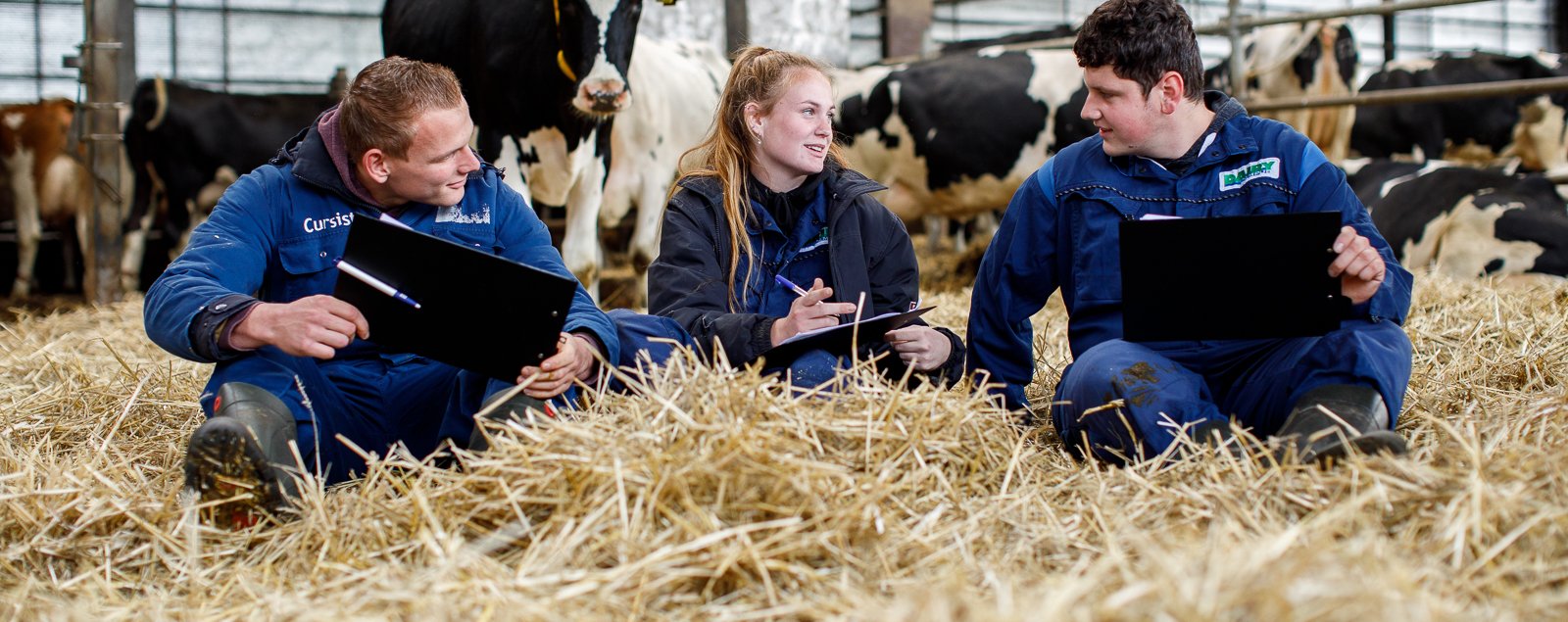 Ad Melkveehouderij studenten tussen koeien in stal voor analyse