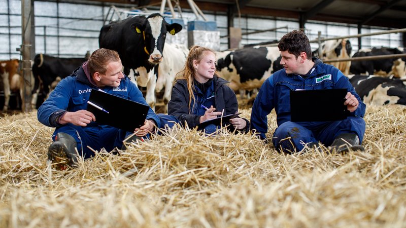 Ad Melkveehouderij studenten tussen koeien in stal voor analyse