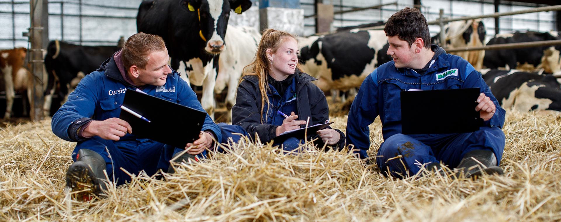 Ad Melkveehouderij studenten tussen koeien in stal voor analyse