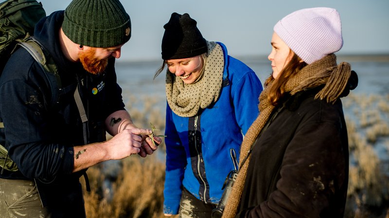 HVHL KZM studenten en docent doen praktijkgericht onderzoek op het wad