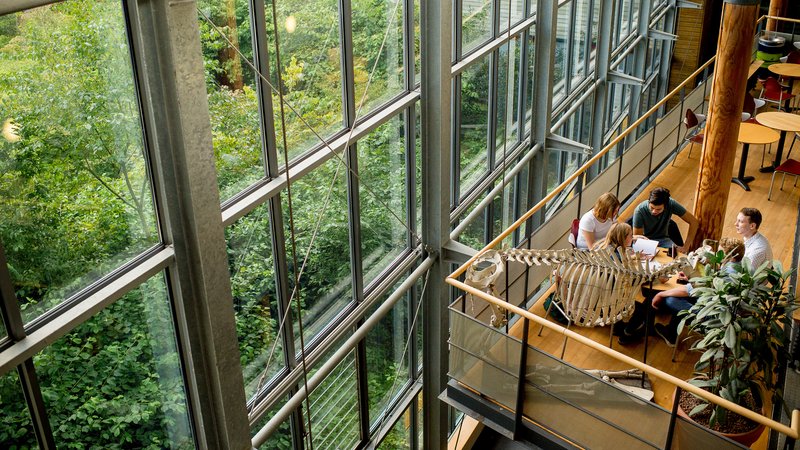 HVHL Leeuwarden studieruimte in grote open ruimte
