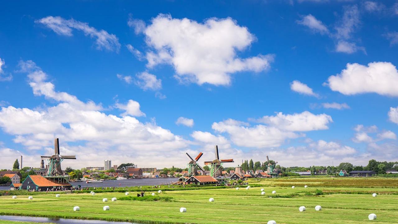 milieukunde omgeving