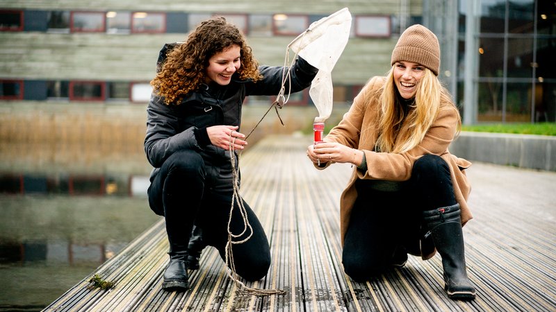 HVHL-MK-opdracht-studenten