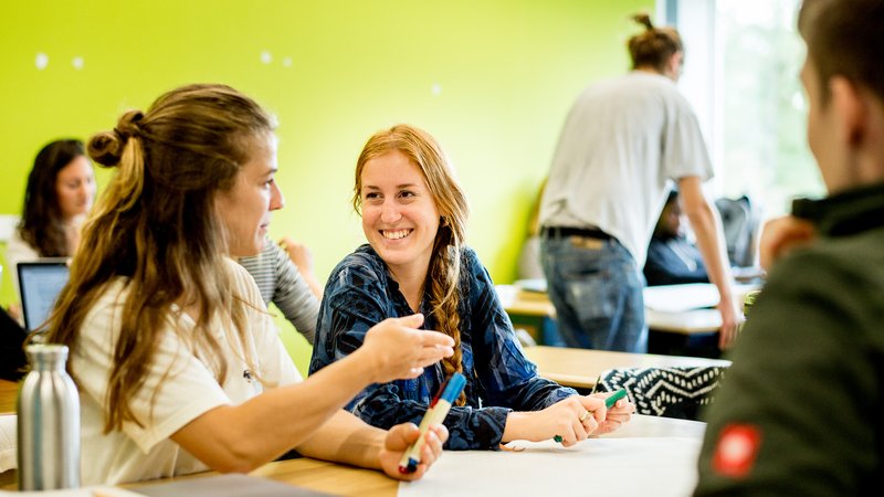 Groepje studenten werken samen aan een project bij HVHL in Velp