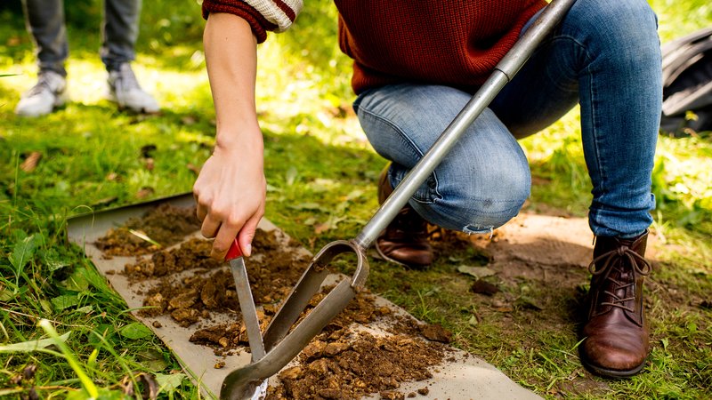 Bos & Natuurbeheer student van HVHL doet bodemonderzoek