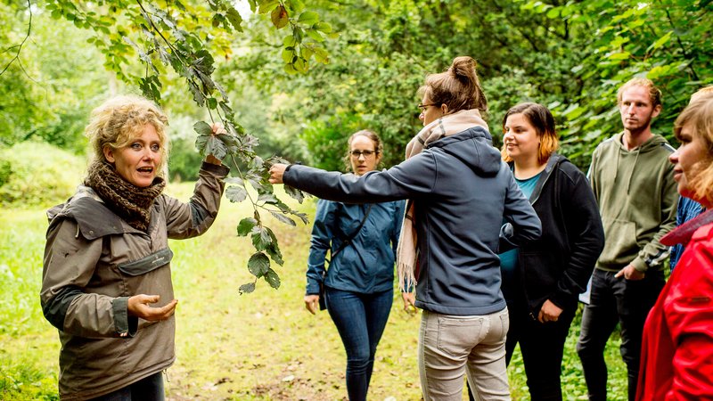 Bos & Natuurbeheer studenten van HVHL tijdens een praktijkles met een docent op het landgoed