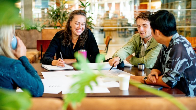 Studenten aan het samenwerken aan projecten in studieruimte