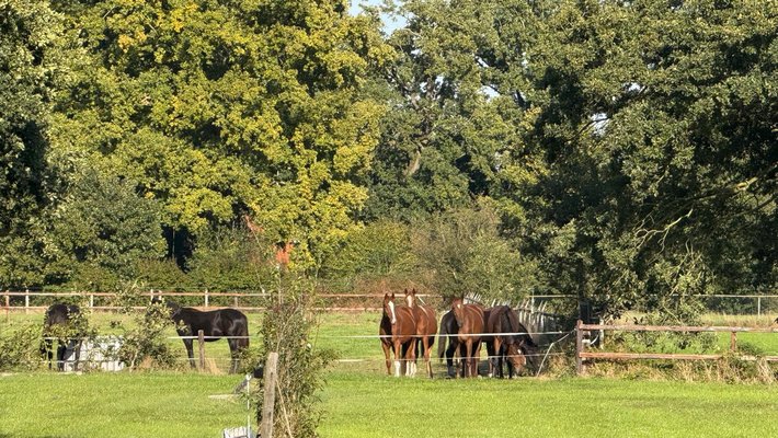 Workshop biodiverse paardenhouderijen