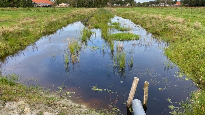 Project Gebiedsaanpak van water voor melk en klimaat