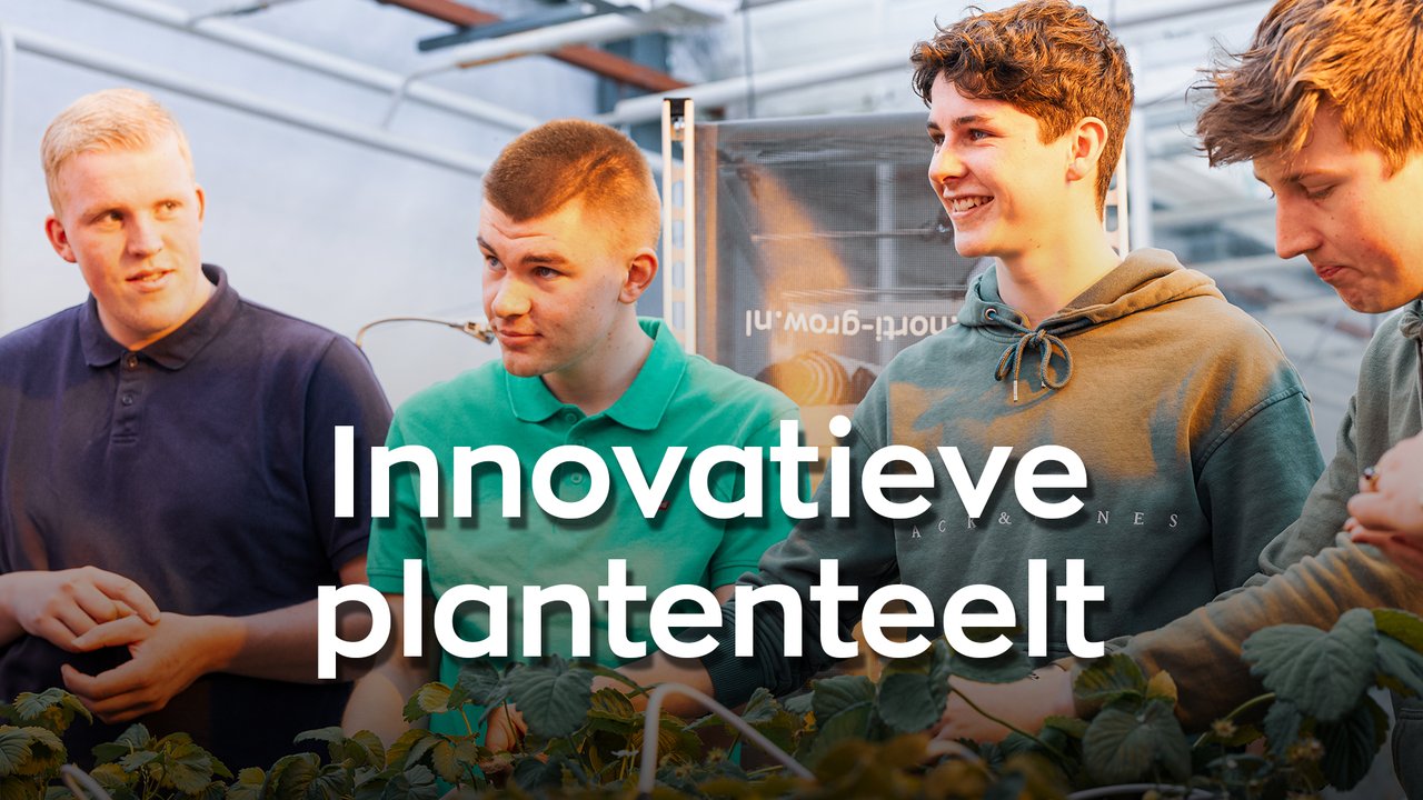 Studenten in de kas in een video over Innovatieve Plantenteelt