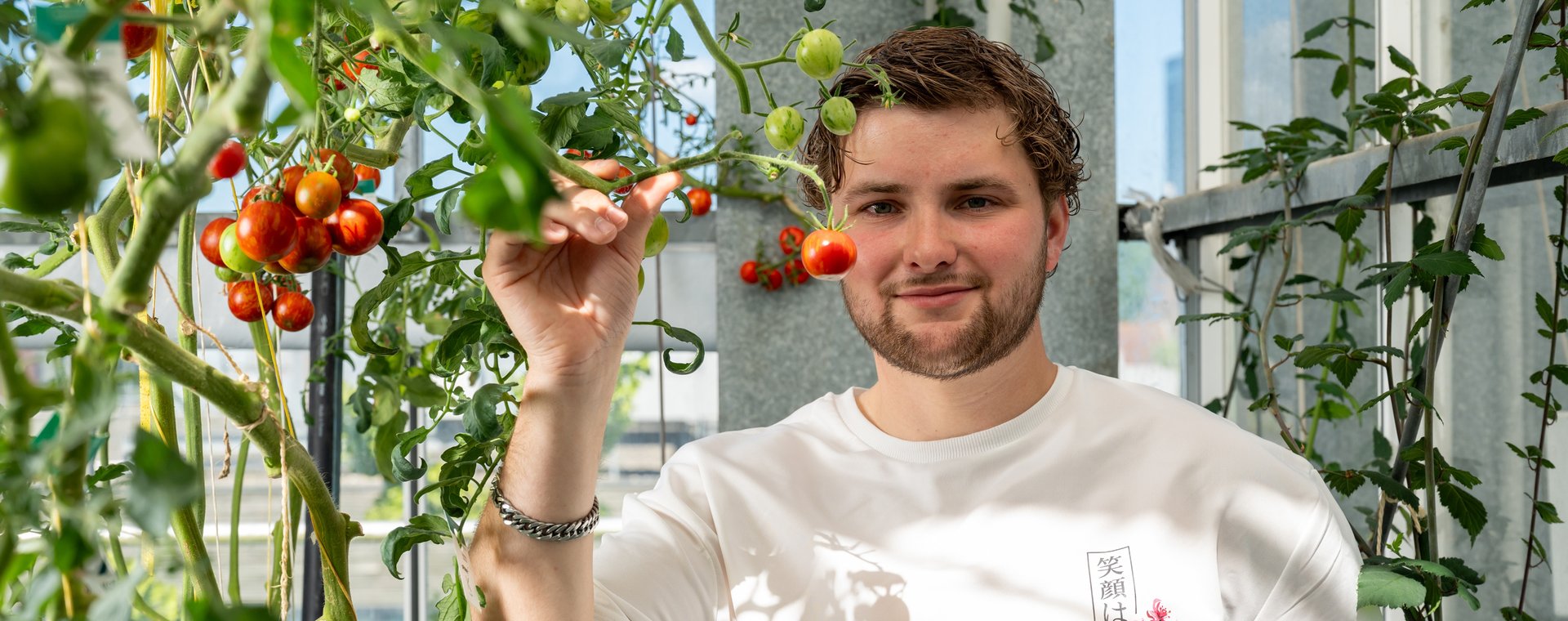 Innovatieve Plantenteelt 2026 3