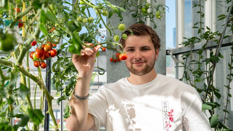Innovatieve Plantenteelt 2026 3