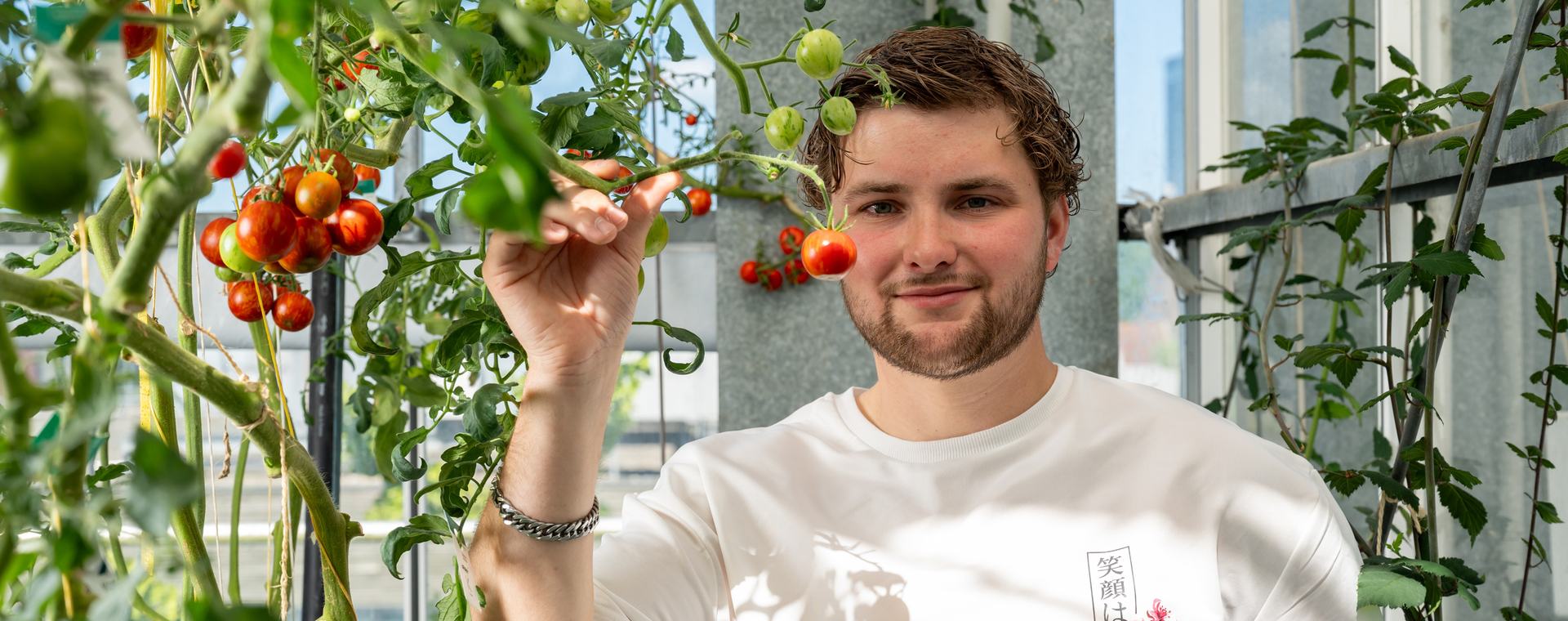 Innovatieve Plantenteelt 2026 3