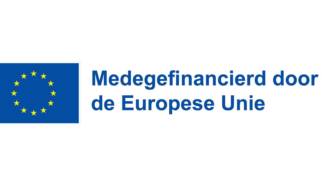 Logo medegefinancierd door EU - Blauw - Rechthoek