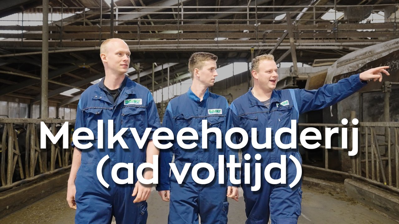 HVHL video melkveehouderij voltijd ad