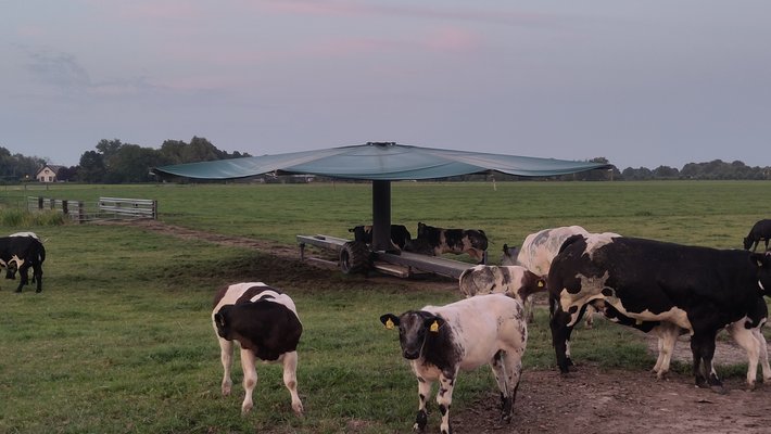 Masterclass beschutting dieren