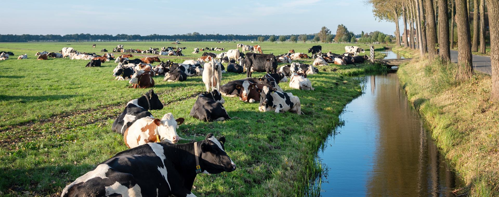 Masterclass beschutting dieren