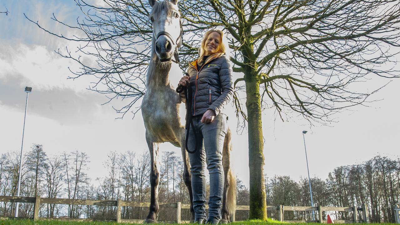 paardenhouderijen