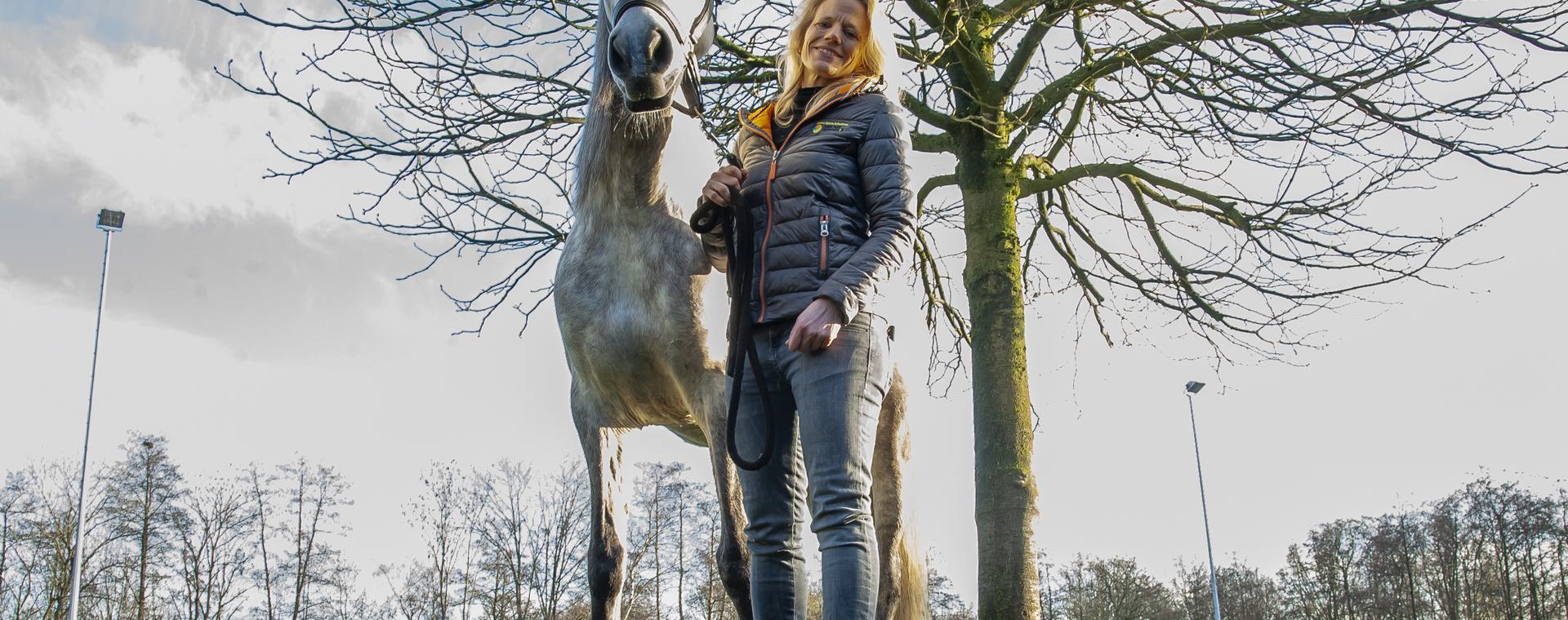 paardenhouderijen