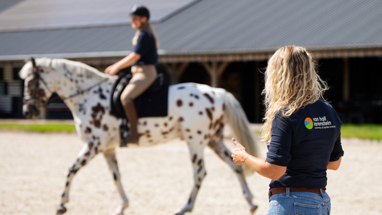 Beweging paard