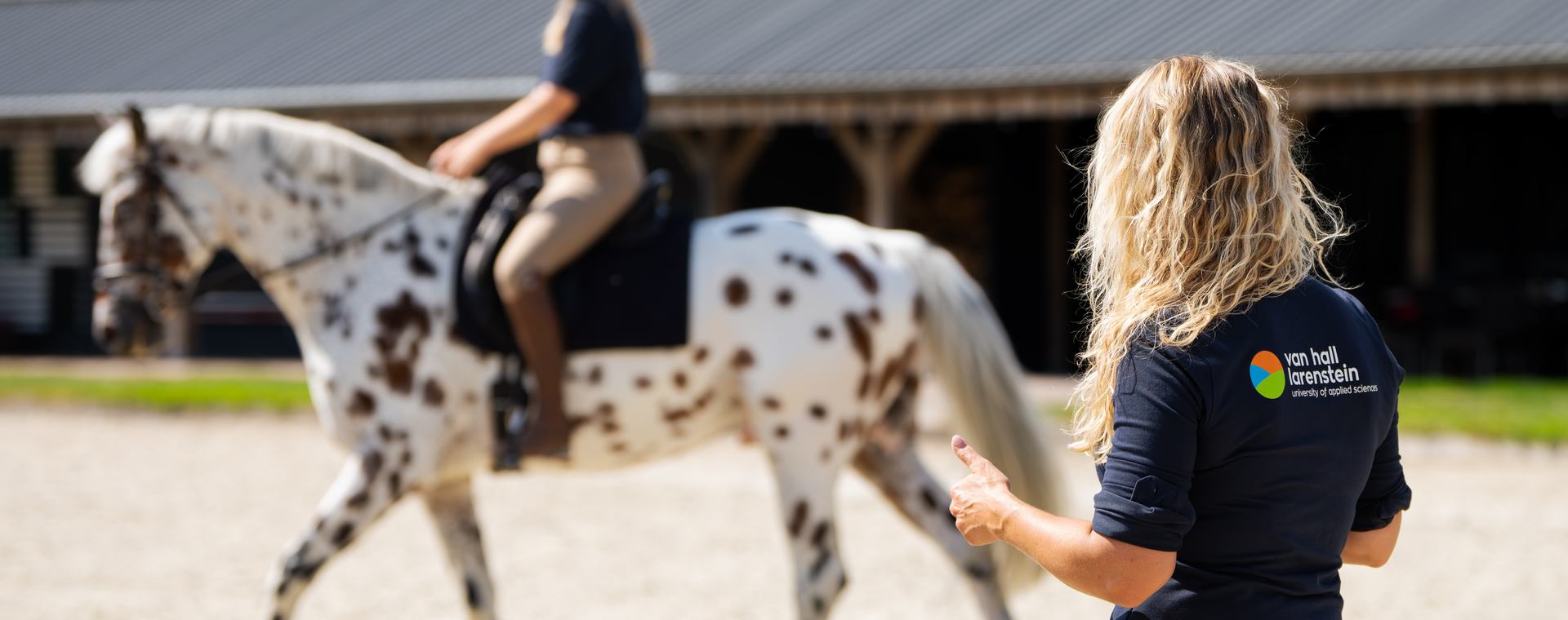 Beweging paard