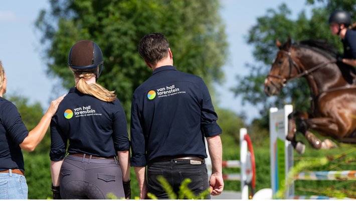 Beweging paard