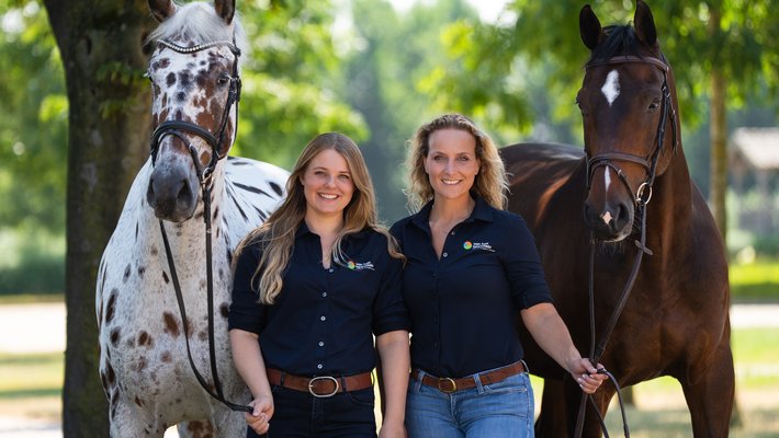 Beweging paard