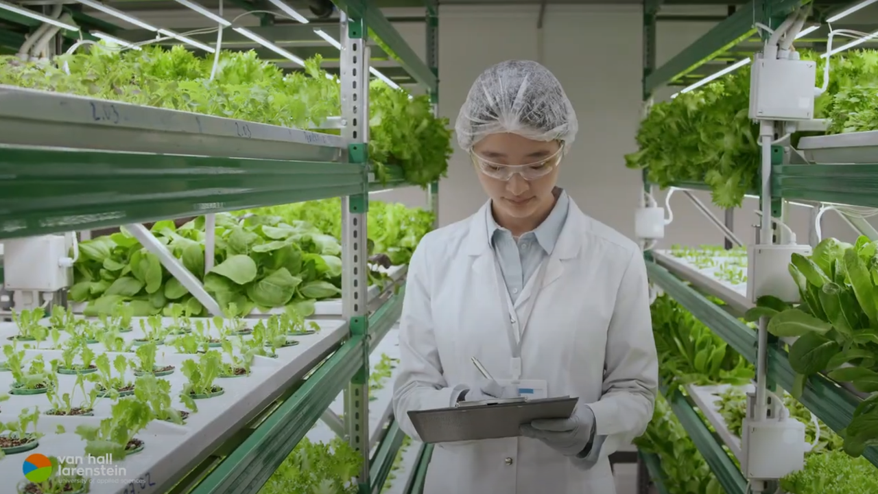 Video Value Chain Concept