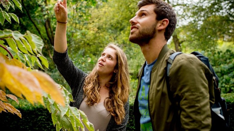 studenten bekijken boom