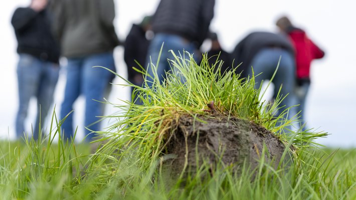 Onderzoeker HVHL laat een bodem monster zien