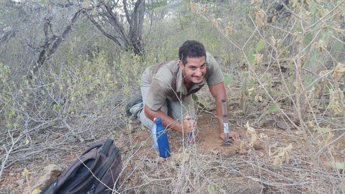 johan batjes bonaire cactus