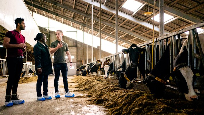 Studenten IDCM bestuderen bedrijfsvoering in de Dairy Campus Leeuwarden