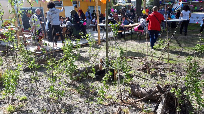 Biodiversiteitsherstel