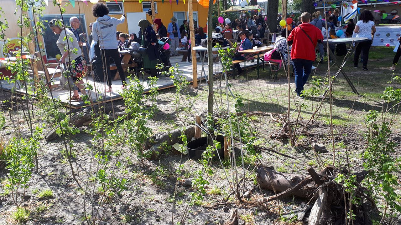 Biodiversiteitsherstel