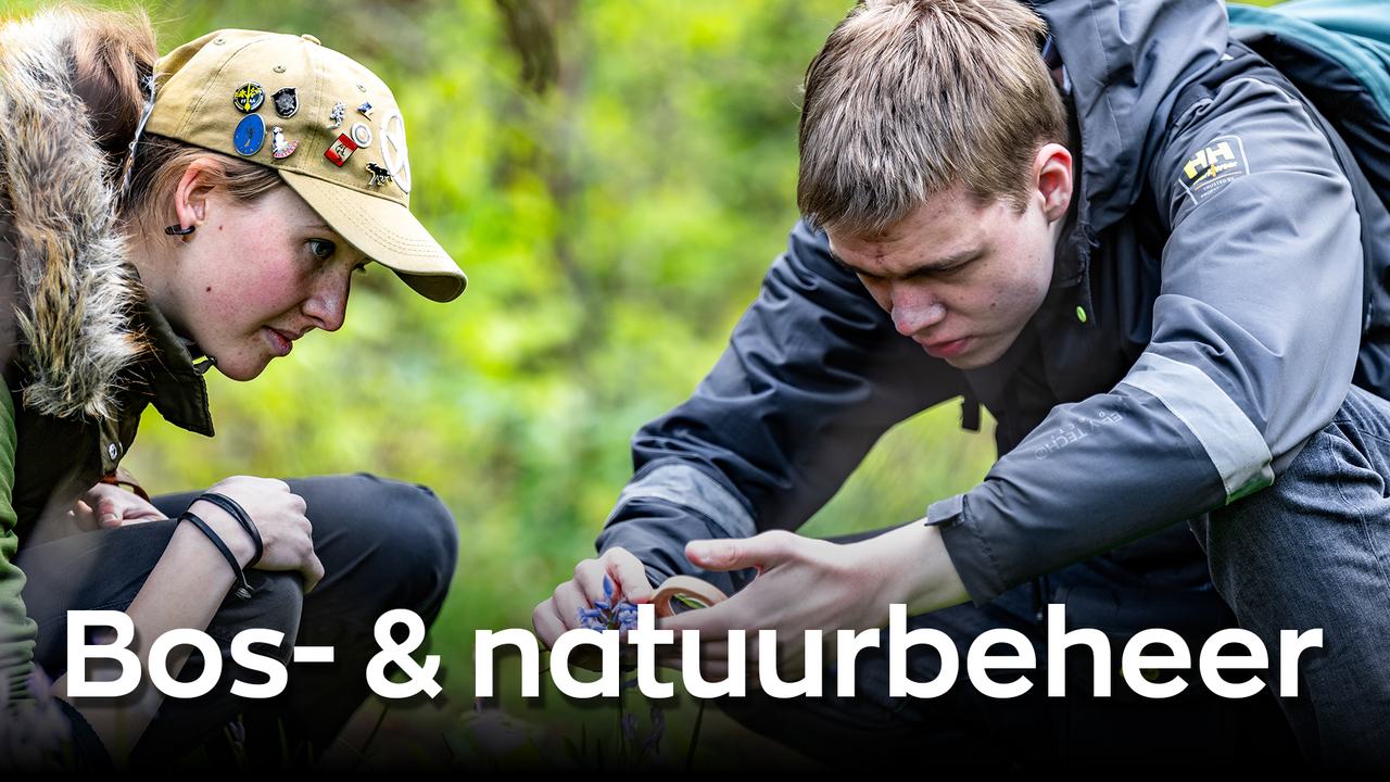 HVHL video over Bos- en Natuurbeheer voltijd