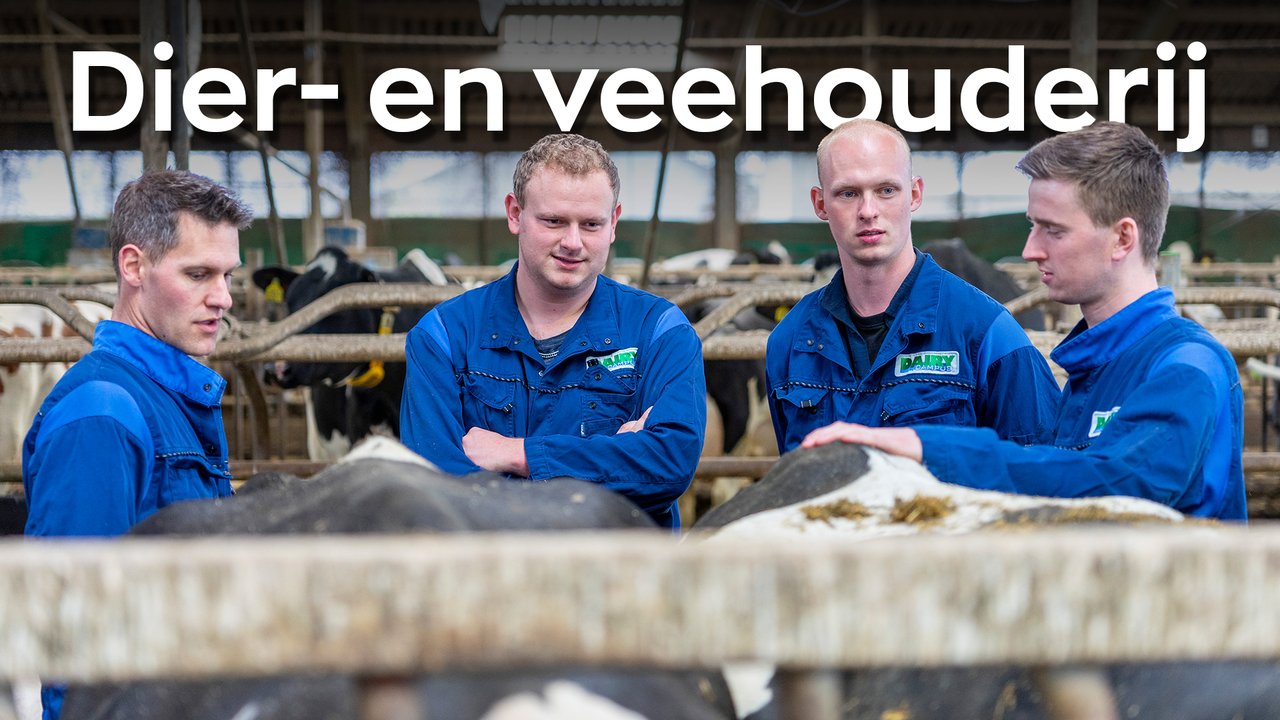 Video over Dier- en Veehouderij
