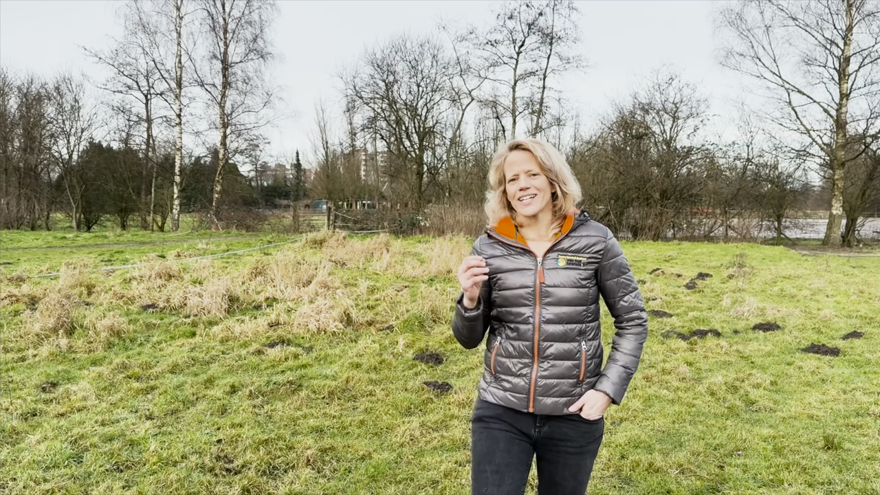 Screenshot bij video over Biodiverse Paardenhouderijen project