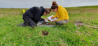 Sustainable Water Systems