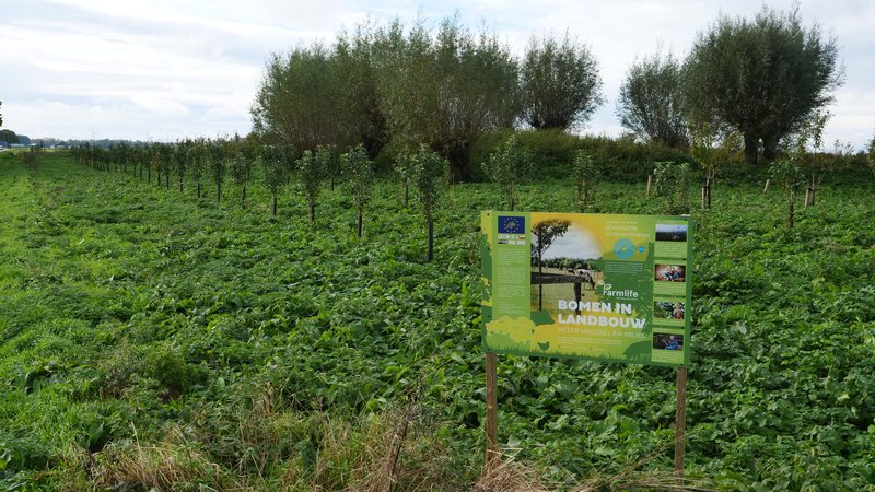 Bord met informatie over farmlife in een agroforestry akker