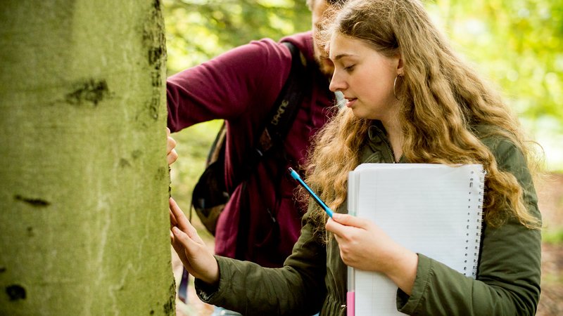 HVHL studenten onderzoek