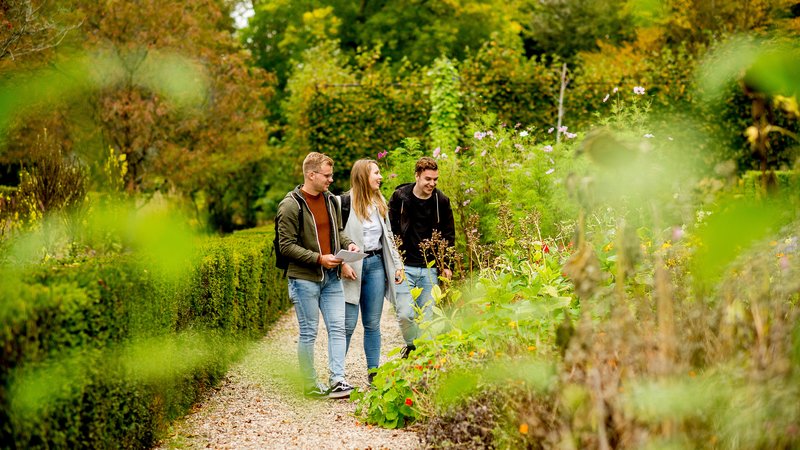 HVHL studenten Tuin- en Landschapsinrichting (bachelor voltijd) op het landgoed in Velp