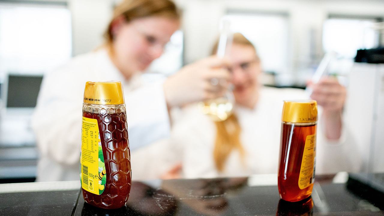 Onderzoekers bekijken honing monsters in het lab