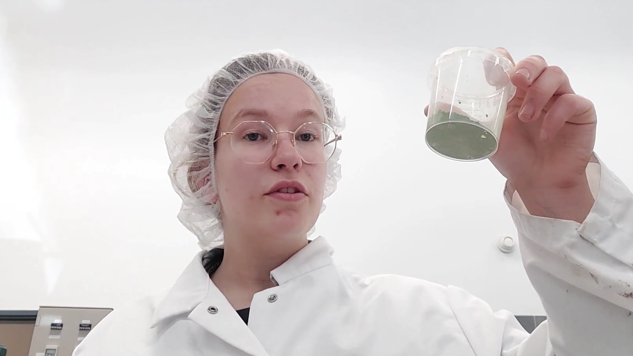Student presenteert hybride yoghurt met linzen